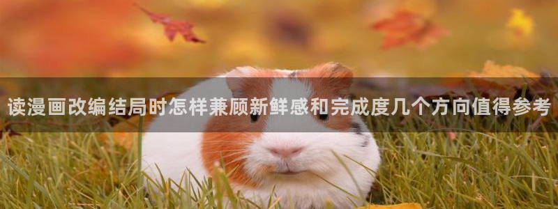 少年漫画:读漫画改编结局时怎样兼顾新鲜感和完成度几个方向值得参考