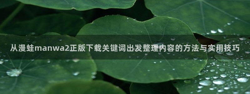 在线国漫